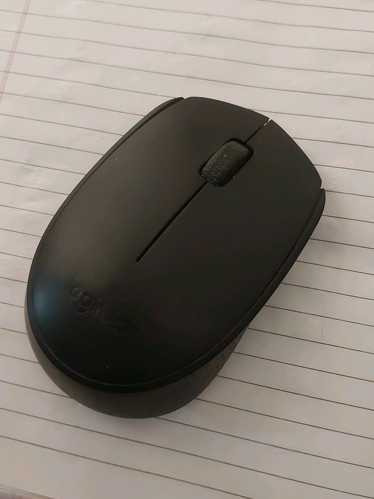 Mouse Without Reciever