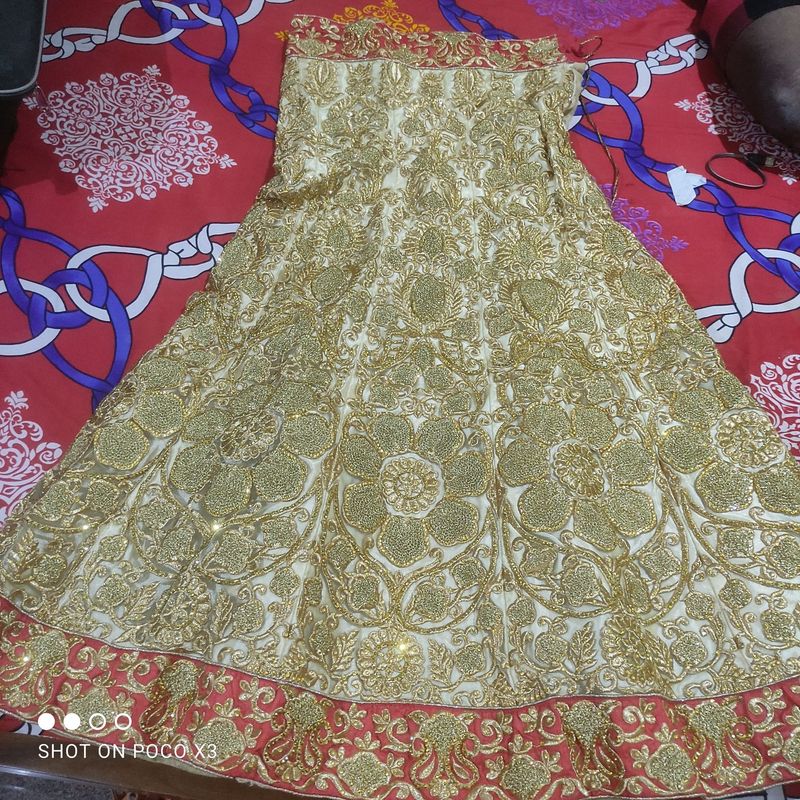 free size lehanga blouse up to 42