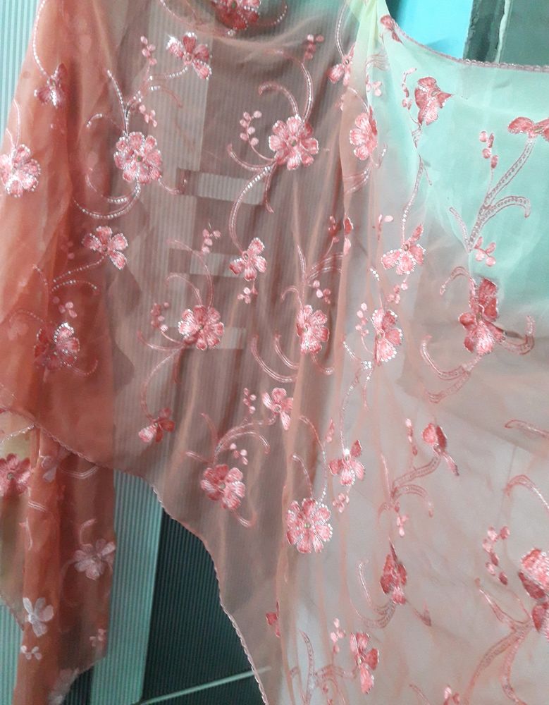 Embroidery Dupatta + Tints