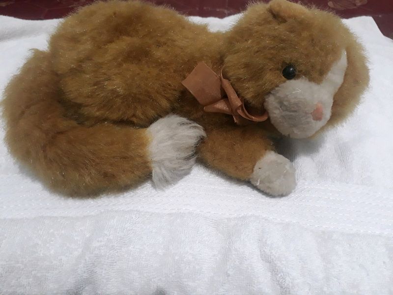 Cat Plush😺