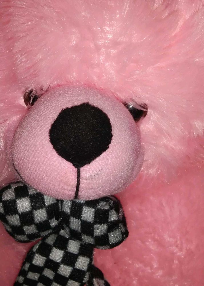 Teddy 🧸