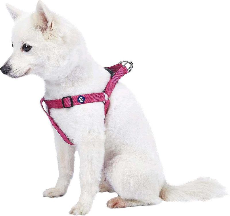Small Dog Harness
