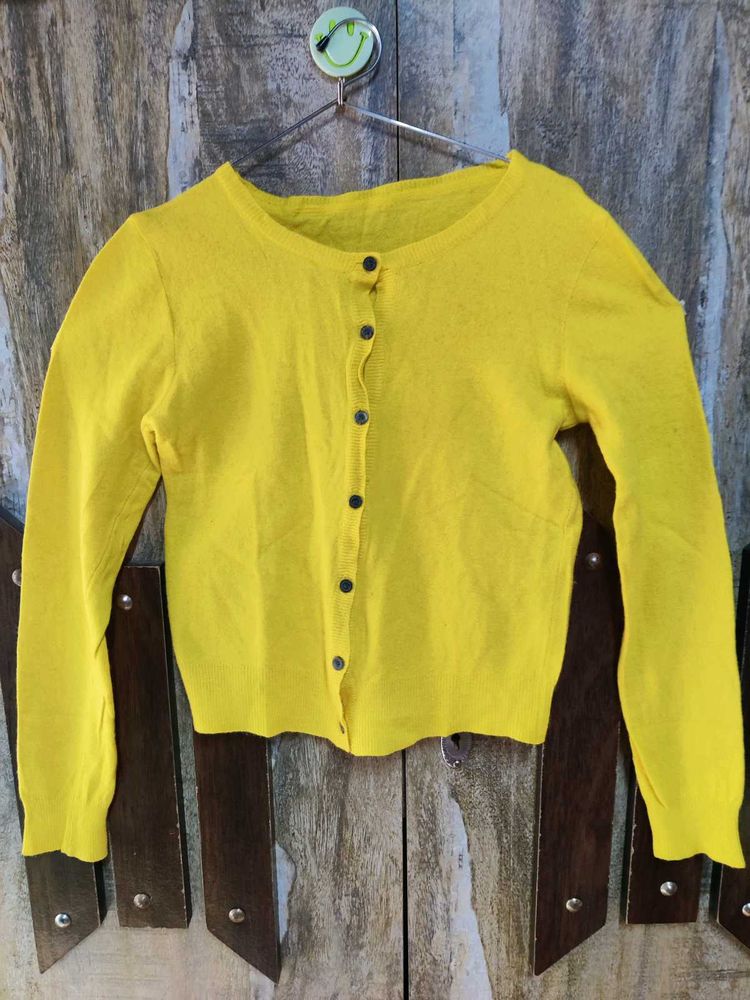 3 Woolen Top At 249