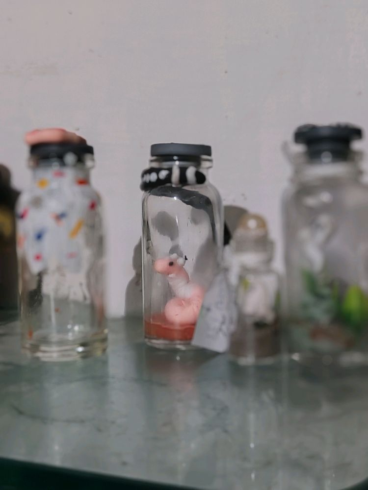 Miniature Bottels Clay Art (homemade) ⭐