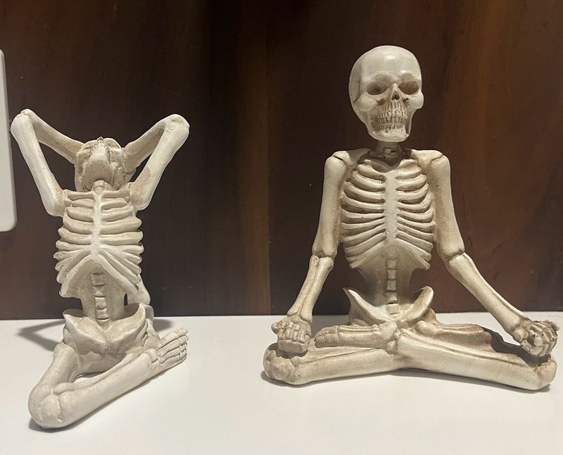 Skeletal Show Peices.