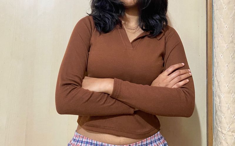 Brown V-neck Long Sleeve Top