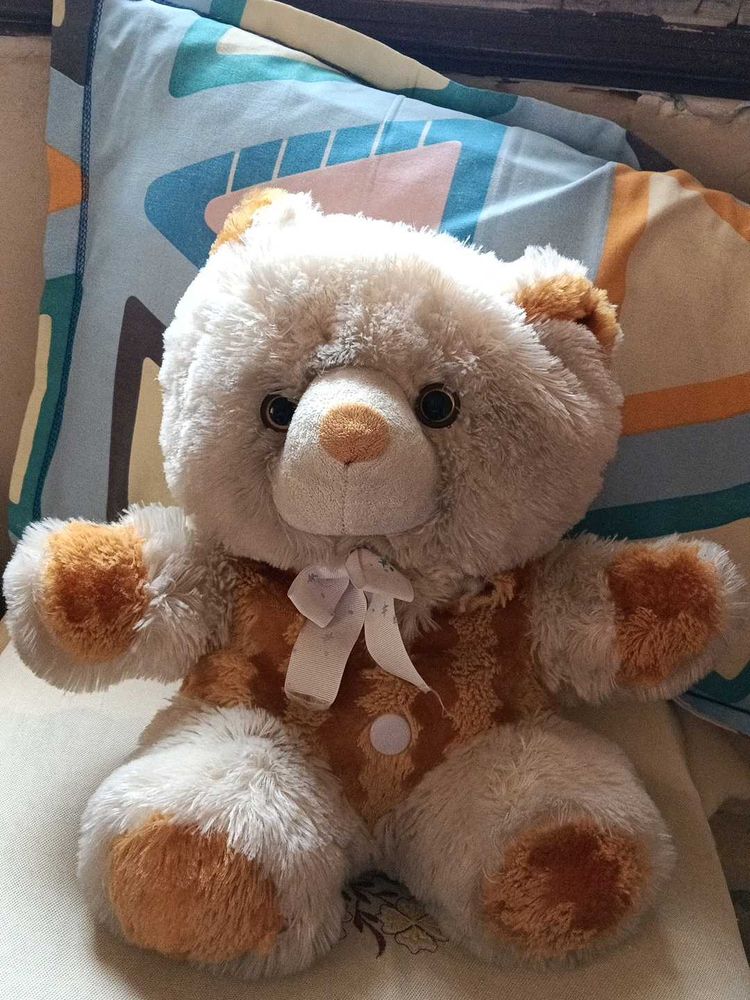 Cute Teddy Bear Plush Toy