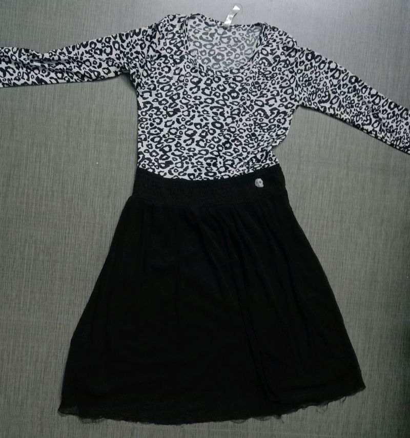 Animal Print Mini Dress