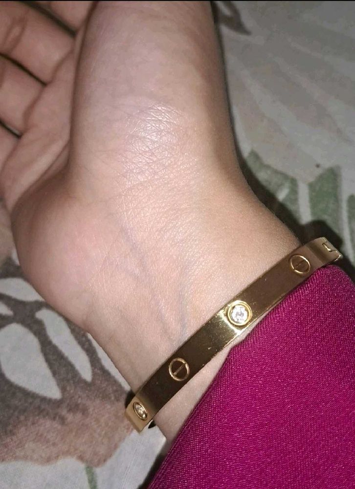 Cartier Gold Stainless Steel Love Bracelet