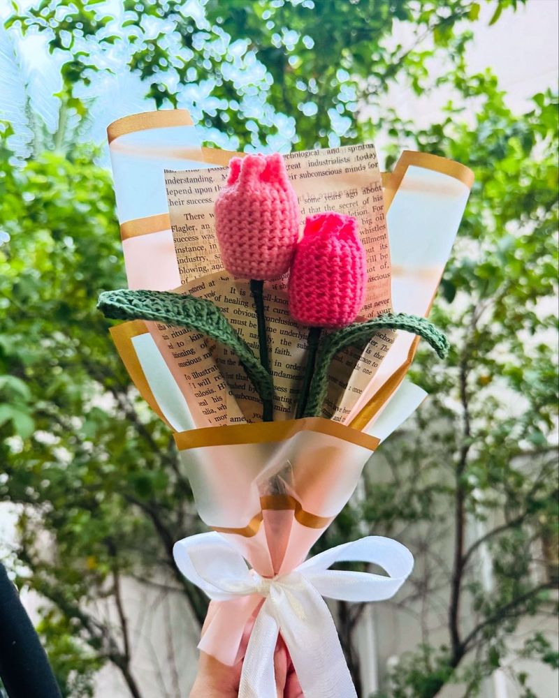 Tulips Flowers