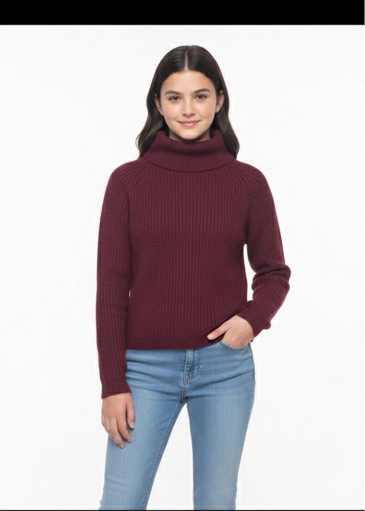 Burgundy Turtleneck Sweater