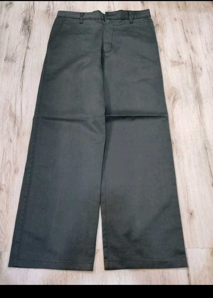 Sc0355 Plant Formal Pants Size 34