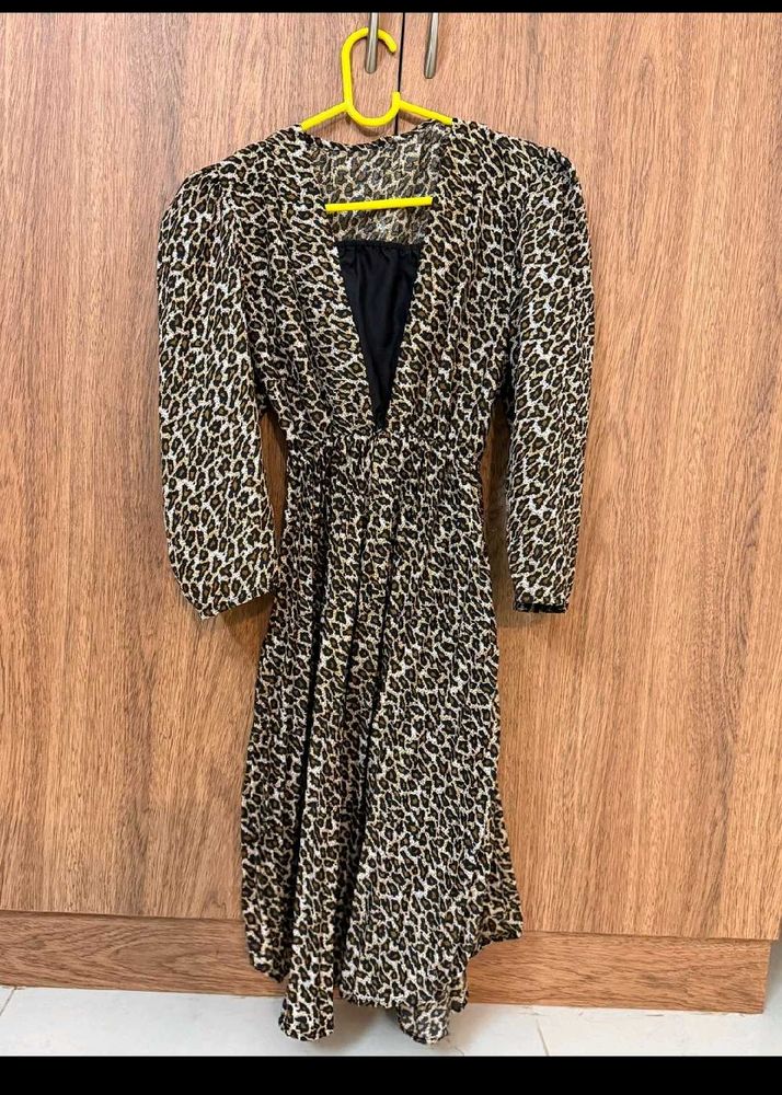 Leopard Print Mini Dress