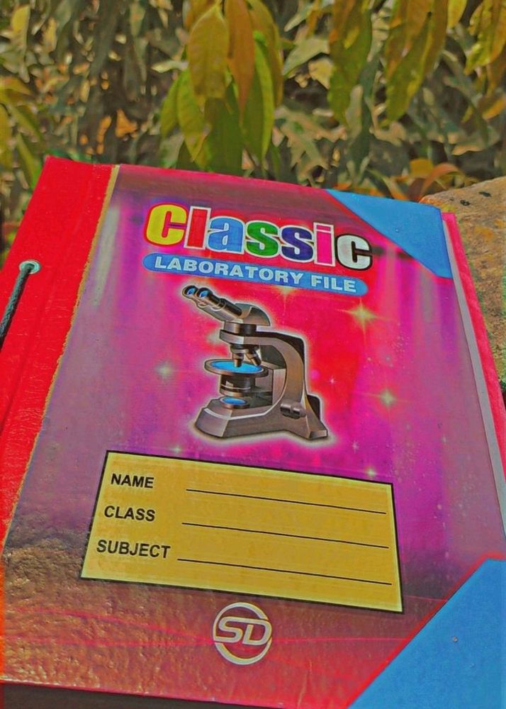 Cardboard File...
