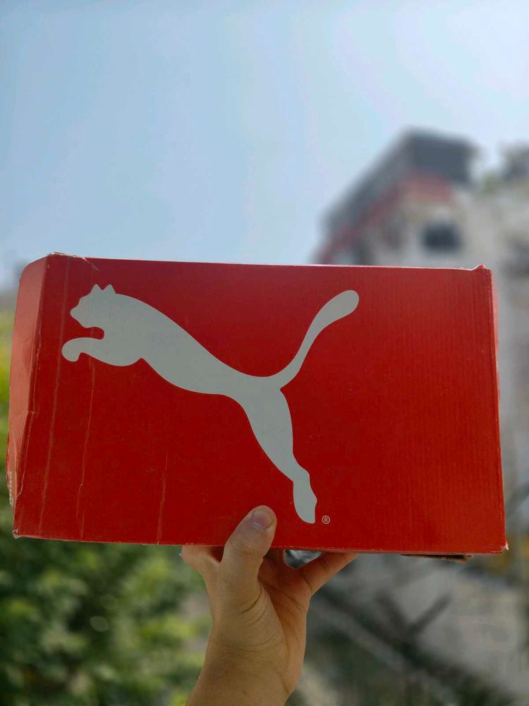 Puma Sport Shoes