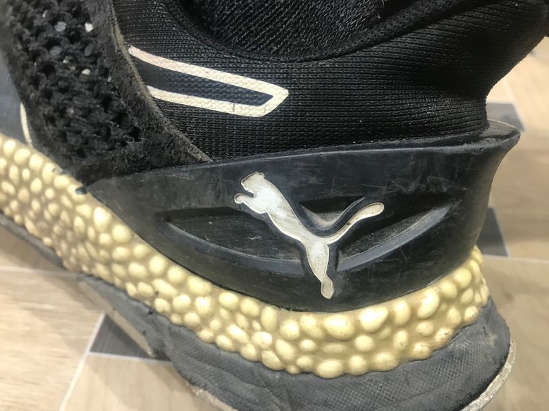 Puma bounce