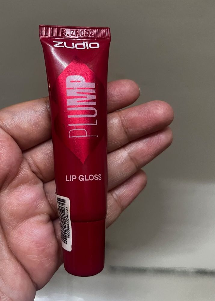 Zudio Plump Lip Gloss