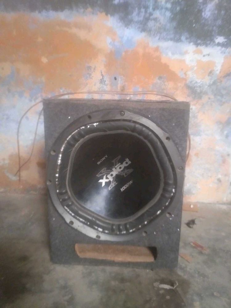 12 Inch Subwoofer