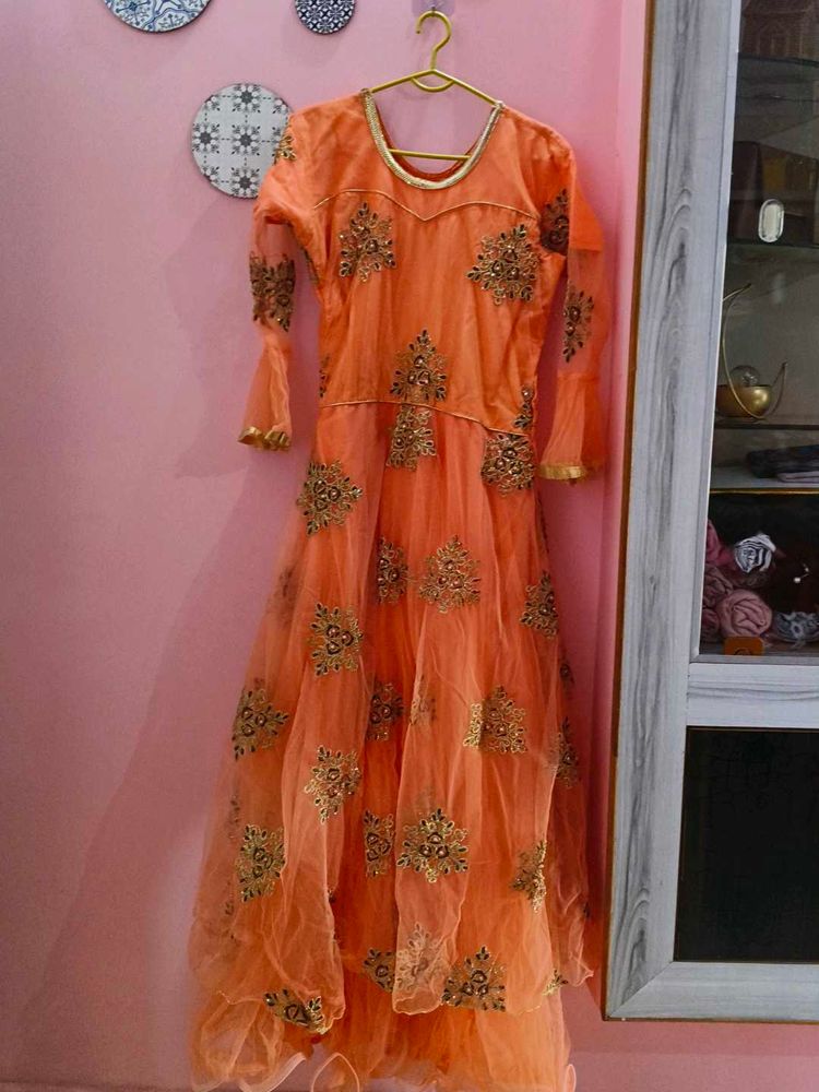 Net Embroidered Gown.