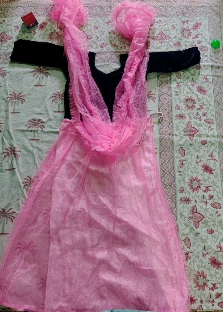 Pink &amp; Blue Velvet Salwar Shall