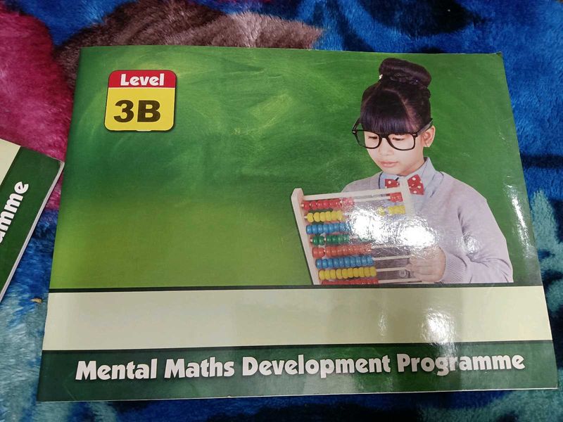 Mental Maths Development Programme