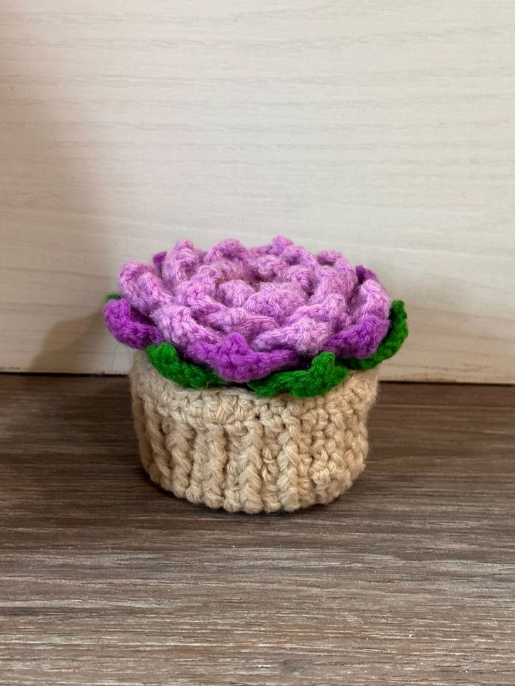 Crochet Succulent Pincushion