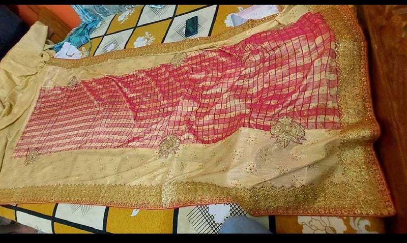 Designer Newly Bride Saree