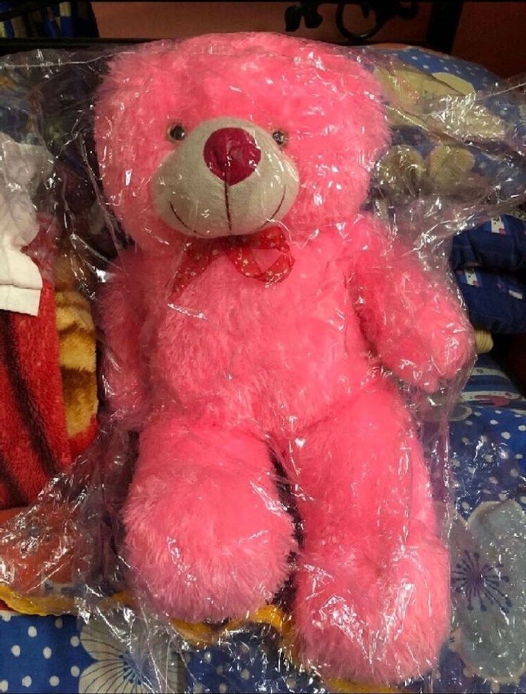 New Teddy Bear (2 Feet 3 Inches)