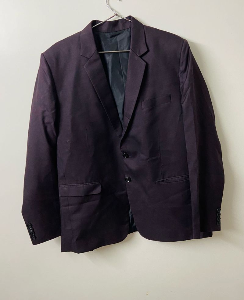 Raymond Blazer Men&#39;s Elegant