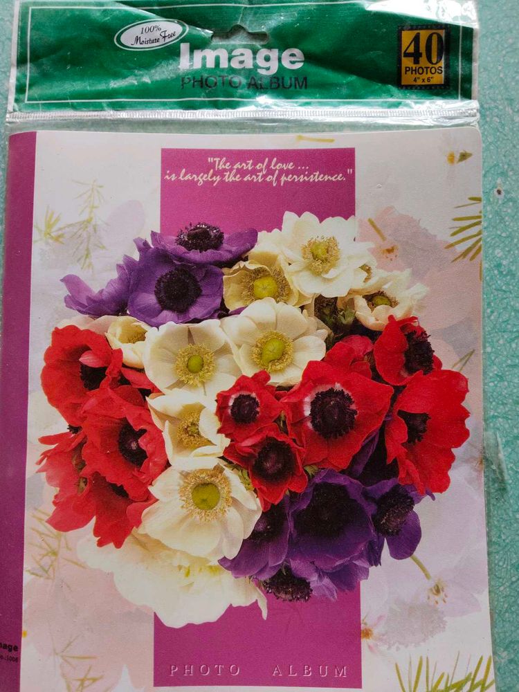 Photo Album And Phot