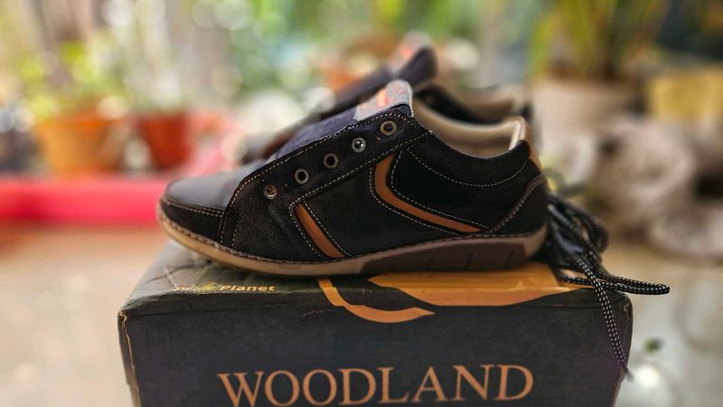 Woodland Casual Shoes