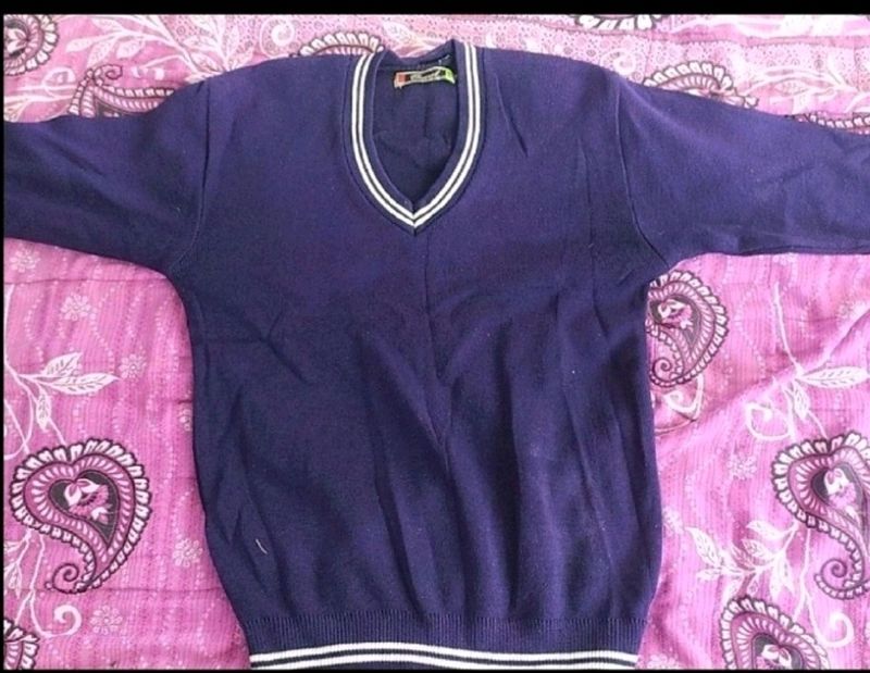 Purple Colour Sweatshirt