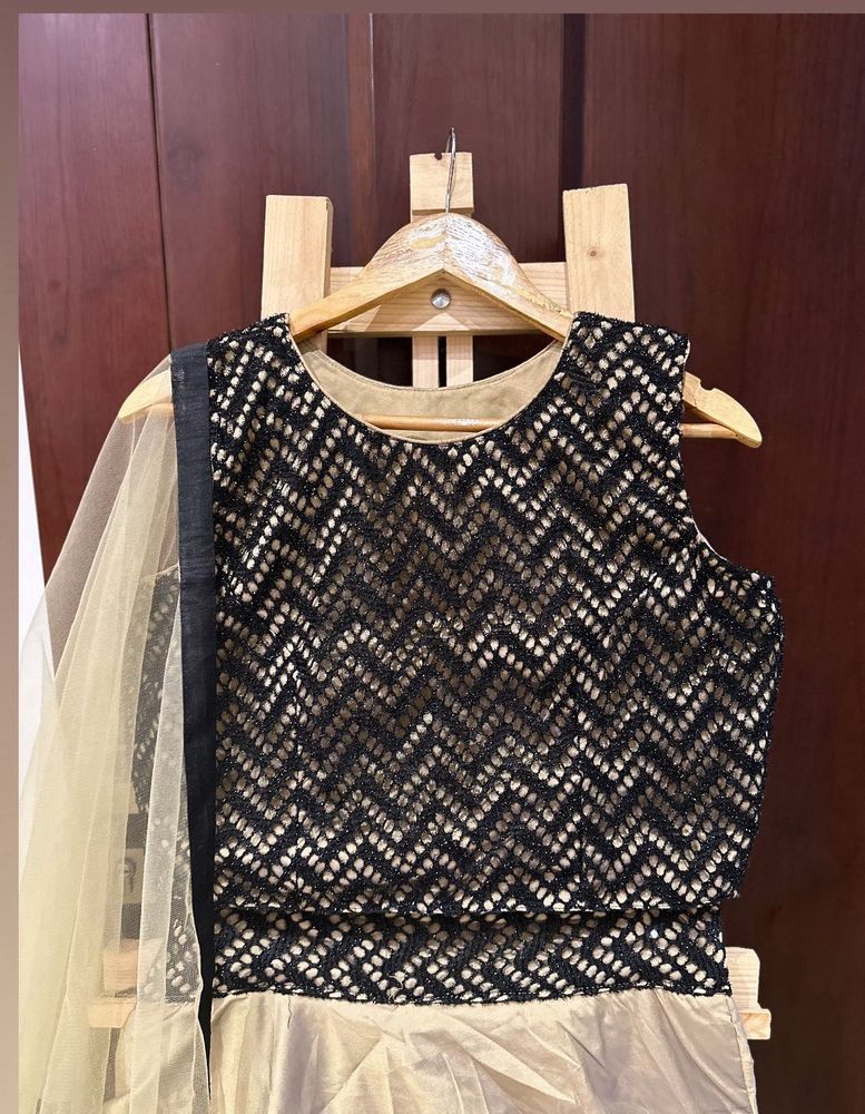 Elegant Ethnic Black Choli With Lehngha