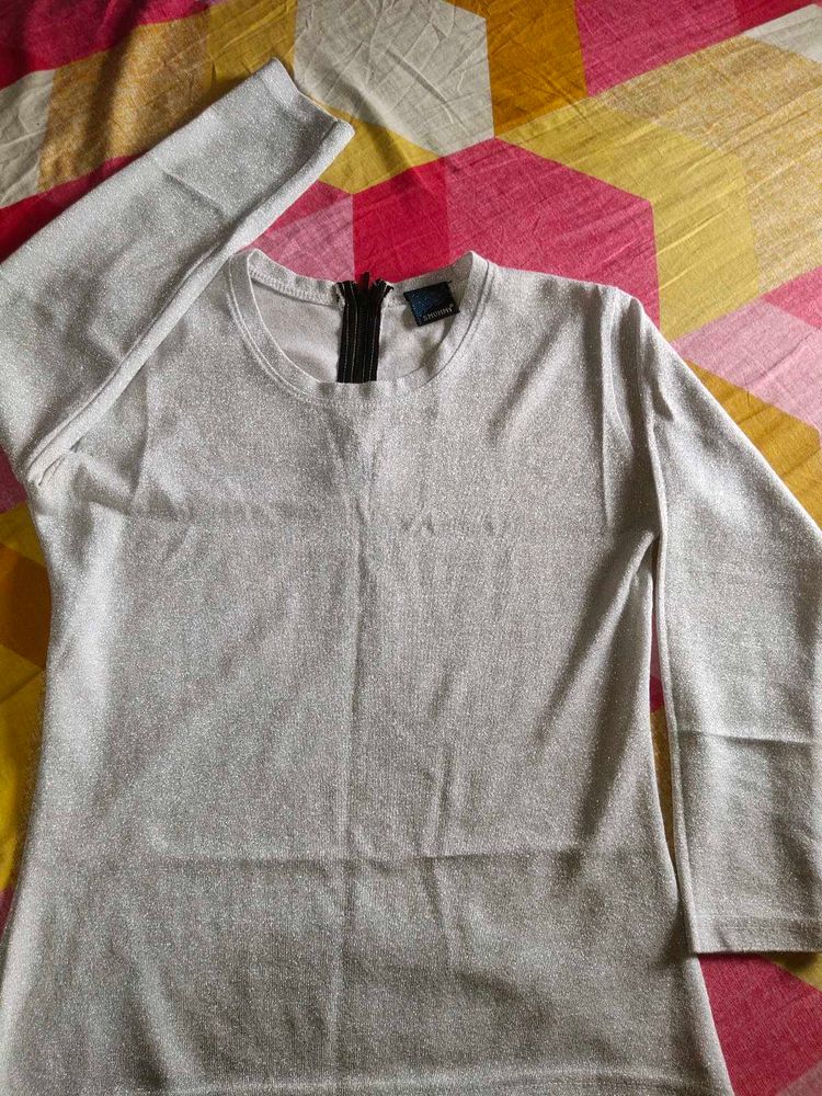 Shimmery Long Sleeve Top