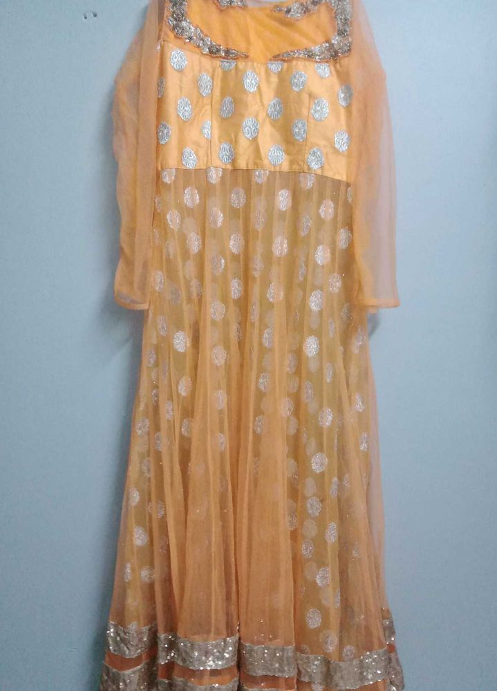 Elegant Ethnic Gown