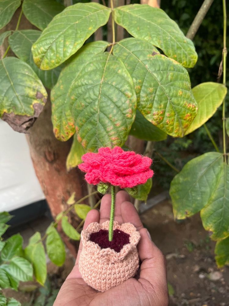 Crochet Rose pot
