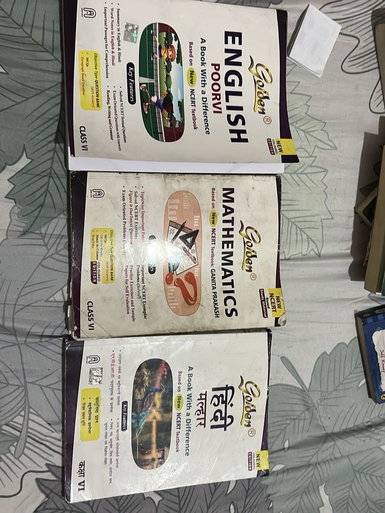 Class 6th Books Based On New Ncert Golden