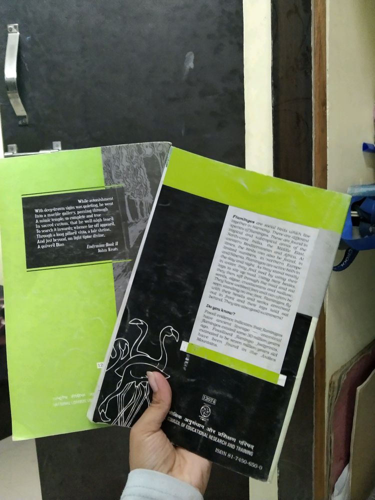 Flamingo And Vistas Class 12th English Textbook (CBSE)