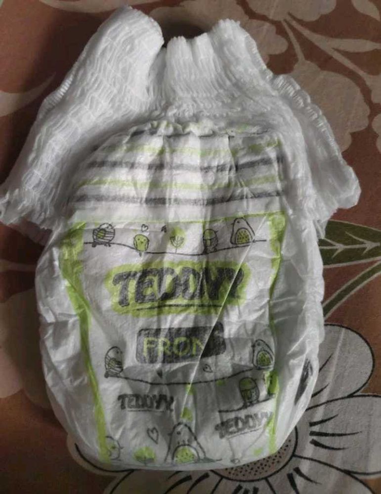 Teddyy Diaper Pant