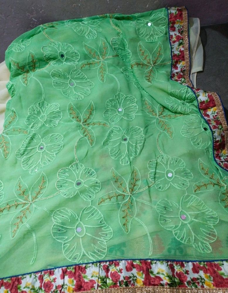 Beautiful Saree Georgette