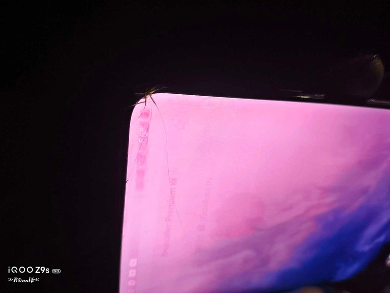 one plus 7 pro 8 256  , 5000 final price he cod no