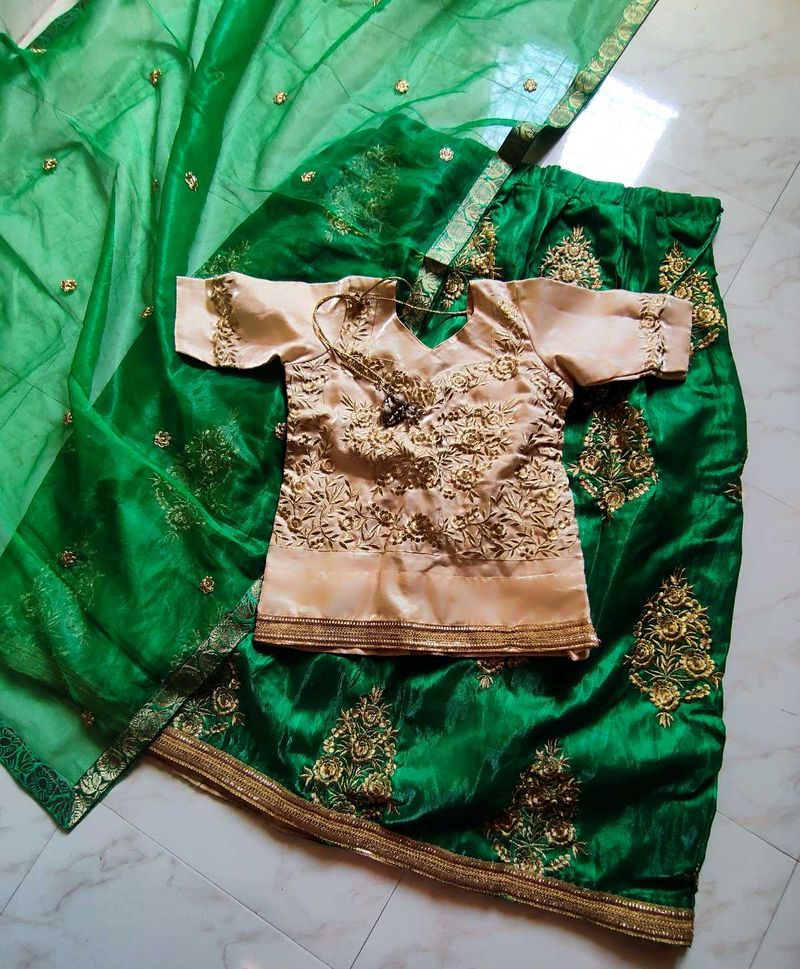 Green Lehenga Choli Set