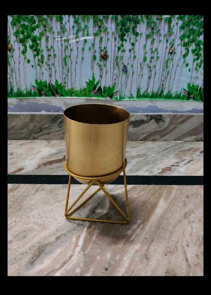 Gamla With Stand