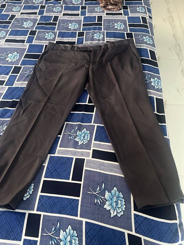 Pant For Men