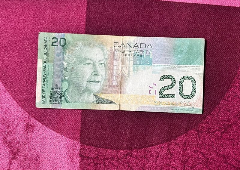 20 Dollars Canadian