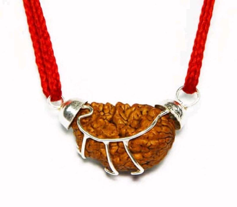 Original Nepali 1 Mukhi Rudraksh/Original Rudraksh