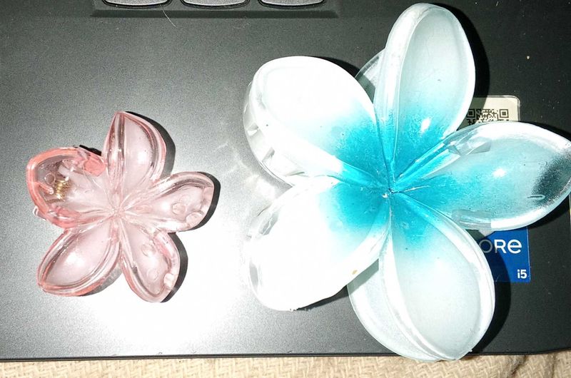 Floral Flower Hair Clips (2)