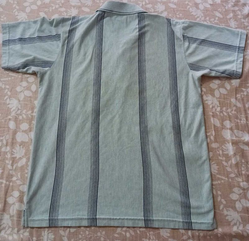 Striped Polo Shirt