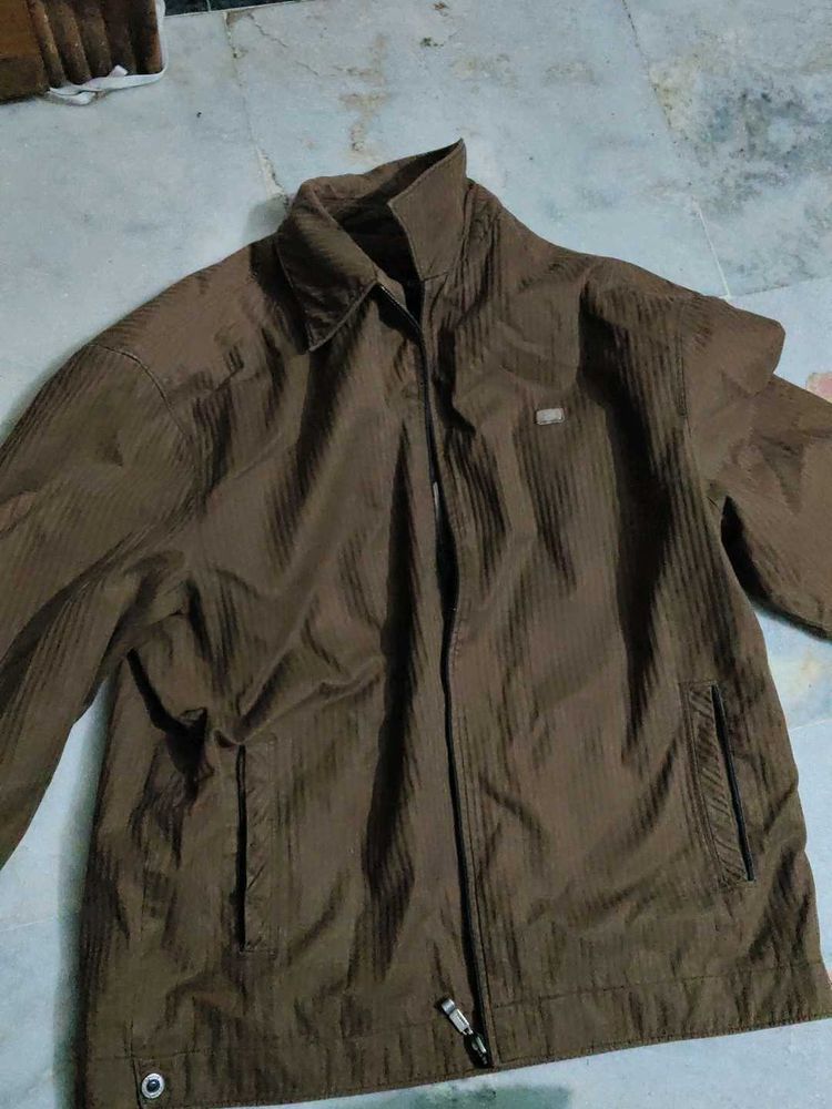 (NEGOTIABLE)premium Lacoste Brown Jacket