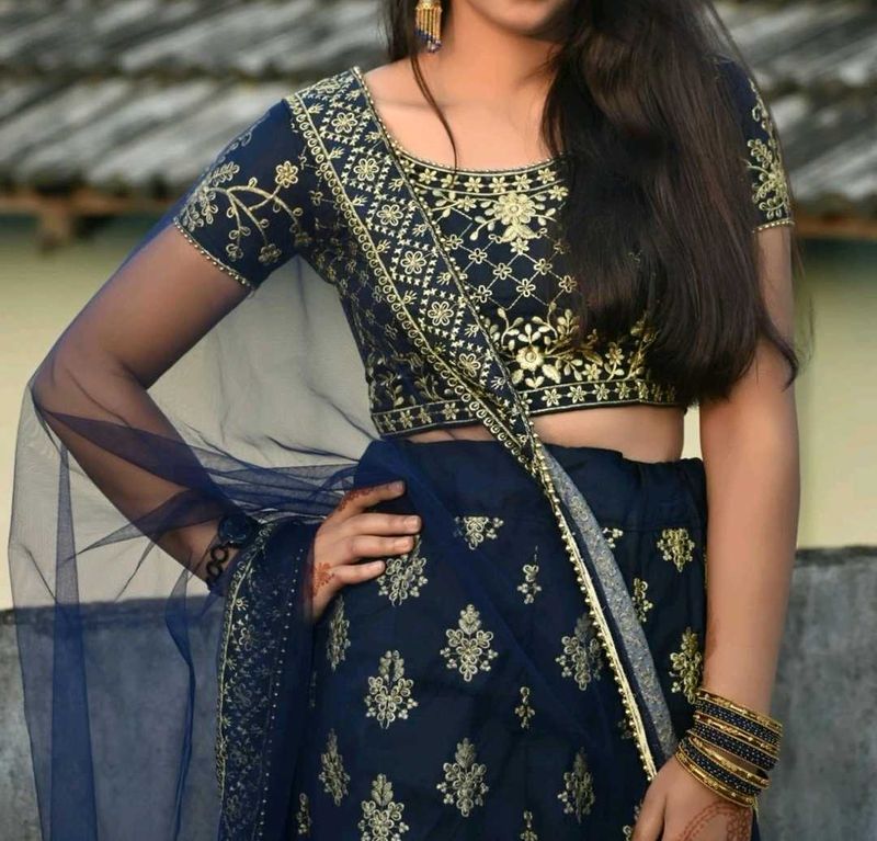 Embroidered Lehenga Choli Set